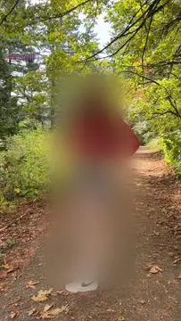 reddit content