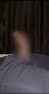 reddit content