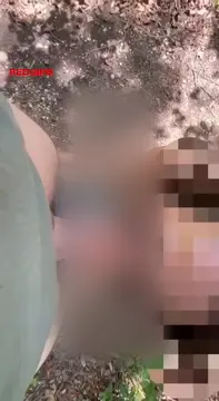 reddit content