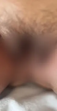 reddit content