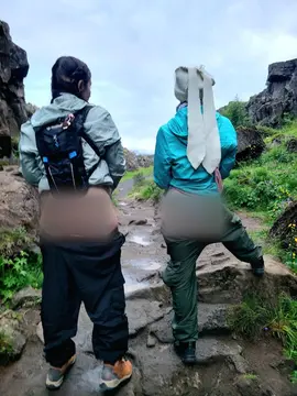 reddit content