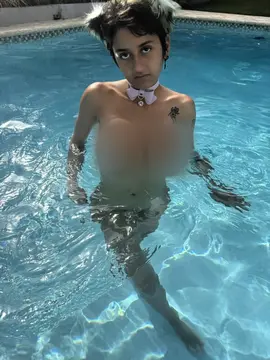 reddit content
