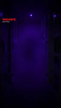 reddit content