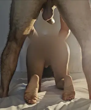 reddit content