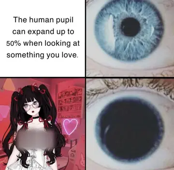 reddit content
