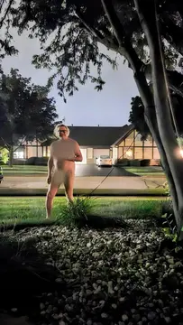 reddit content