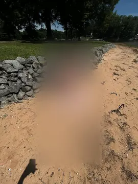 reddit content
