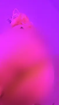 reddit content