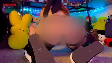 reddit content