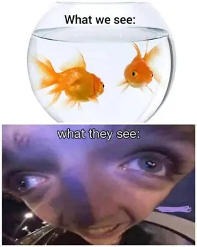 reddit content