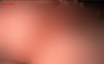 reddit content