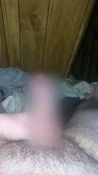 reddit content