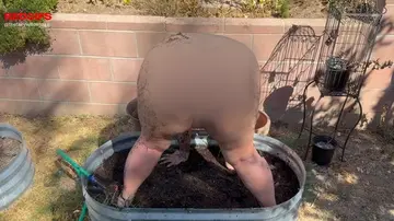 reddit content