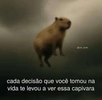 reddit content