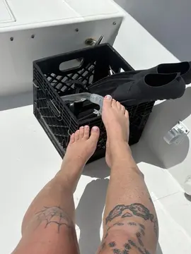 reddit content