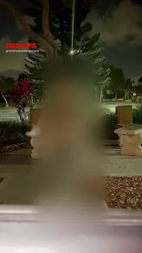 reddit content