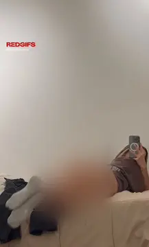 reddit content