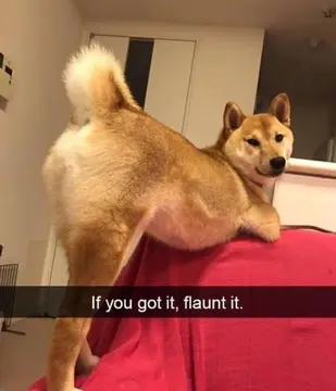 reddit content