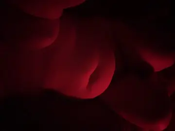 reddit content