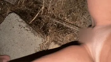 reddit content