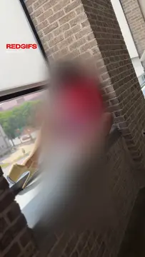 reddit content