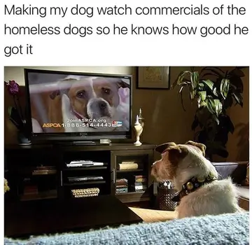 reddit content