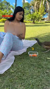 reddit content