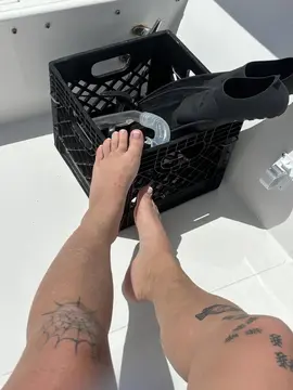 reddit content