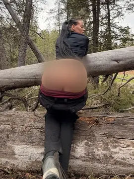 reddit content
