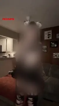 reddit content