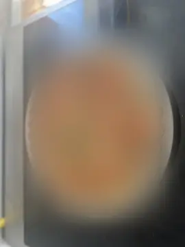 reddit content
