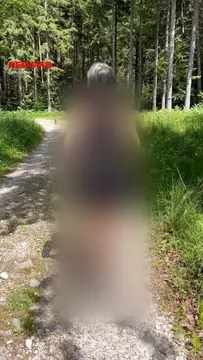 reddit content