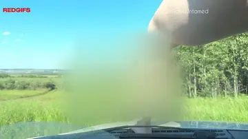 reddit content