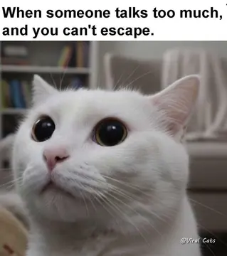reddit content