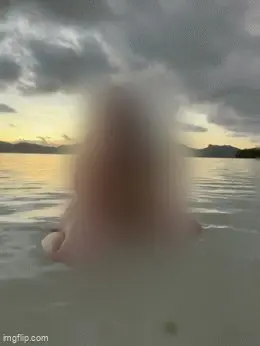 reddit content