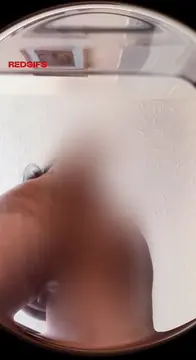 reddit content