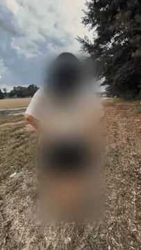 reddit content