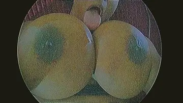 reddit content