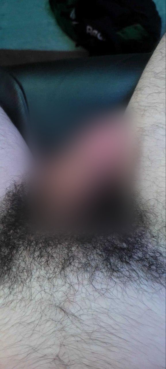 @roughaardvark5460