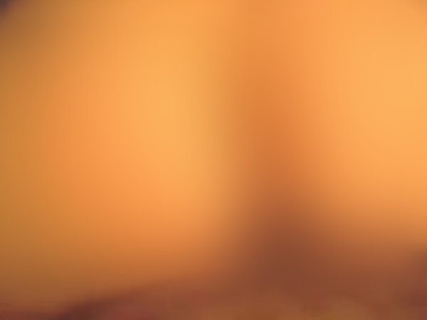 @chamuser - verified creator